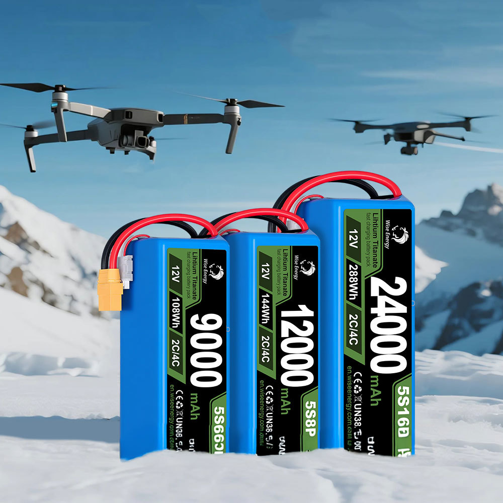 WE-LTO 12V 12000mAh 18650 电池组