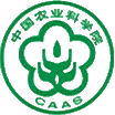 Dong'an Group