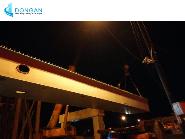 Bridges and other special projects
