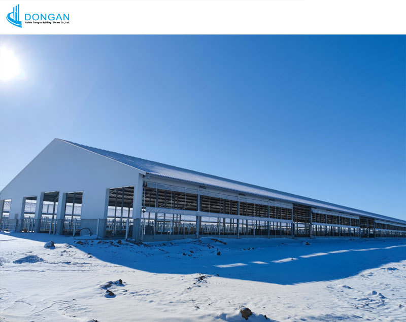 Jilin Songyuan Adoption of a Cattle Ranch