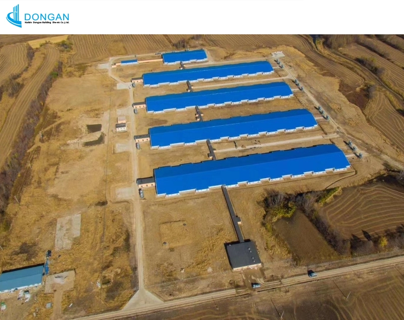 Jin Xin Nong Pig Farm