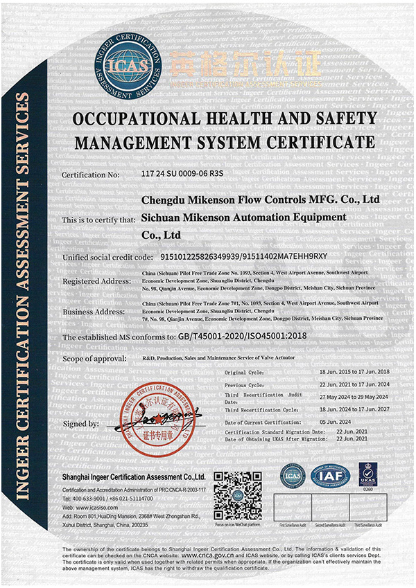 Occupational health and safety management system certification