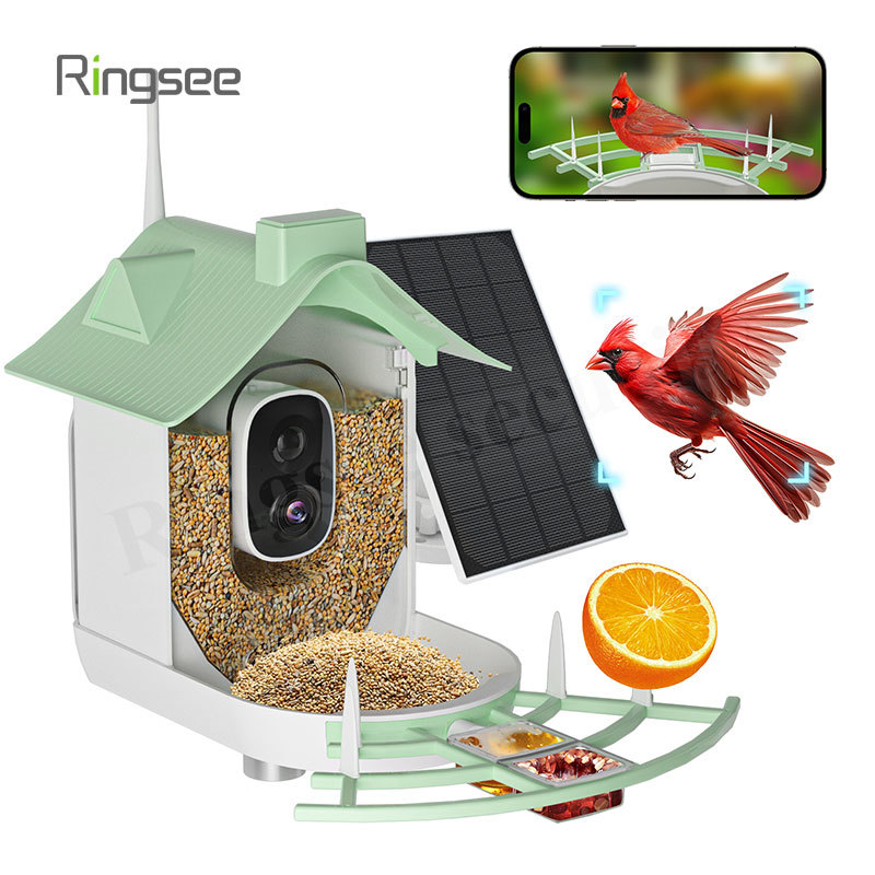 Cámara de comedero para pájaros con WIFI de 2,4 G y 4G 2MP