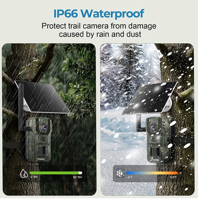 Solar-Powered Wildlife Cameras
