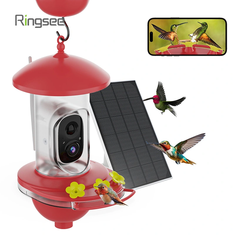  Cámara para colibríes, proveedores de seguridad Ringsee 