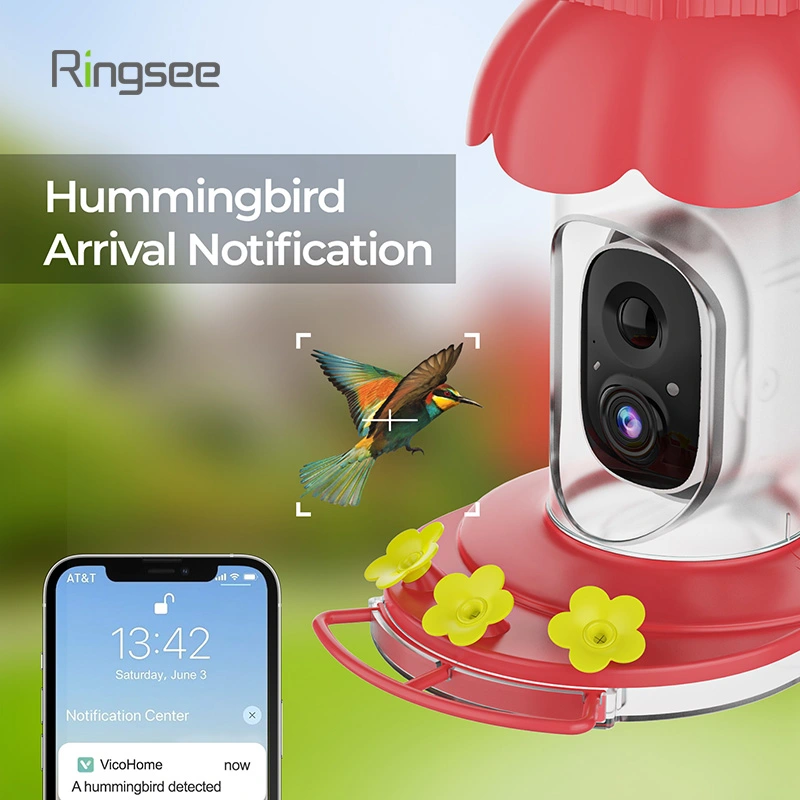 Hummingbird Arrival notification