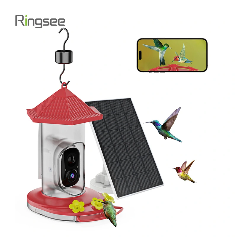  Cámara colibrí Wifi 2.4G, seguridad Ringsee 