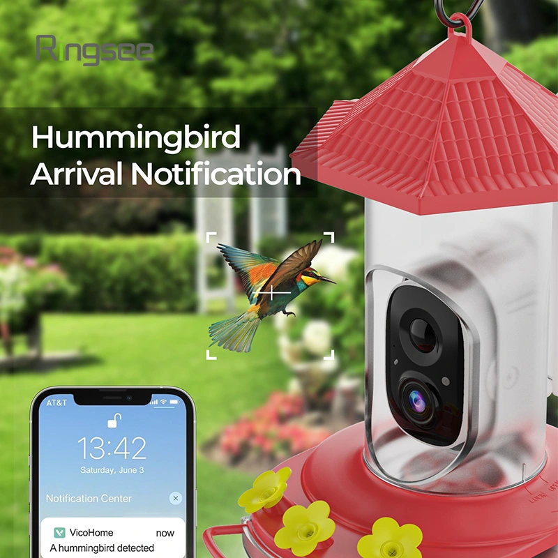 Cámara colibrí de 3MP, fabricantes de seguridad Ringsee