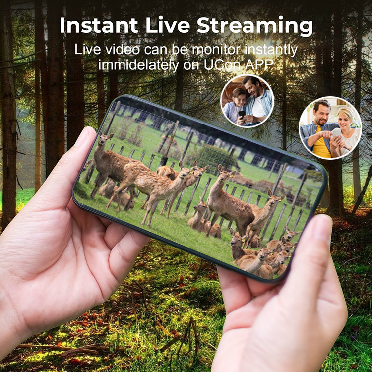 Solar-Powered Wildlife Cameras
