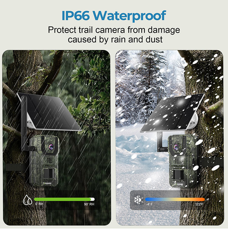 IP66 Weatherproof solar camera