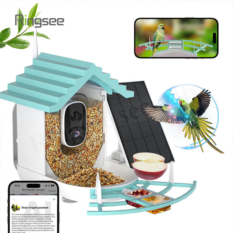 Cámara de alimentador de pájaros AI Wifi 4MP