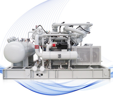 Process gas compressor
