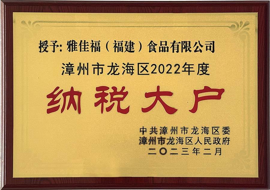 2022年纳税大户