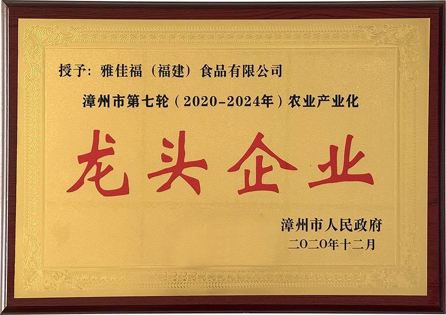 2020-2024龙头企业