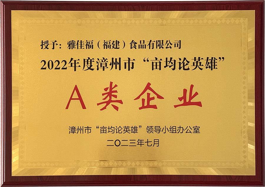 2022年-A类企业