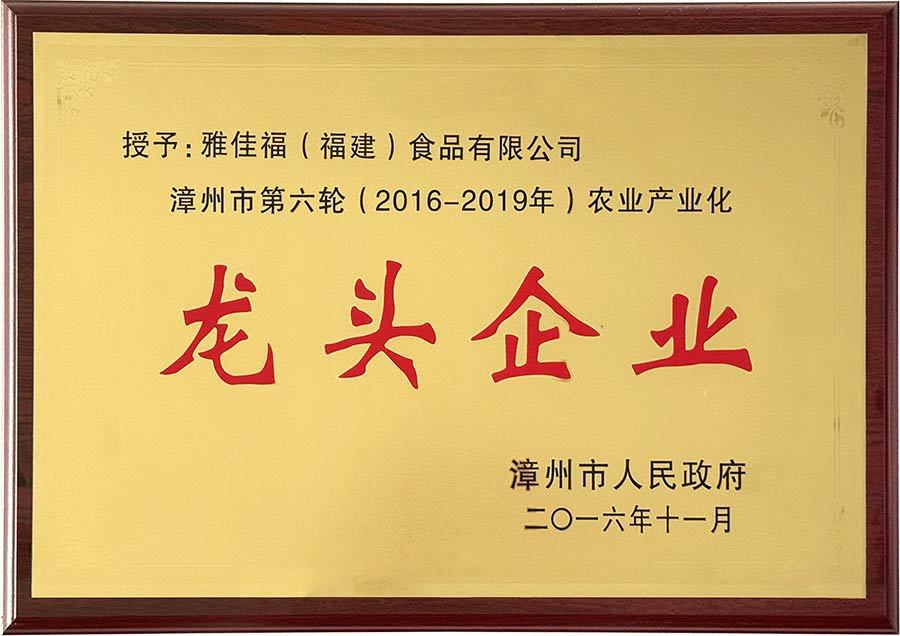 2016-2019龙头企业