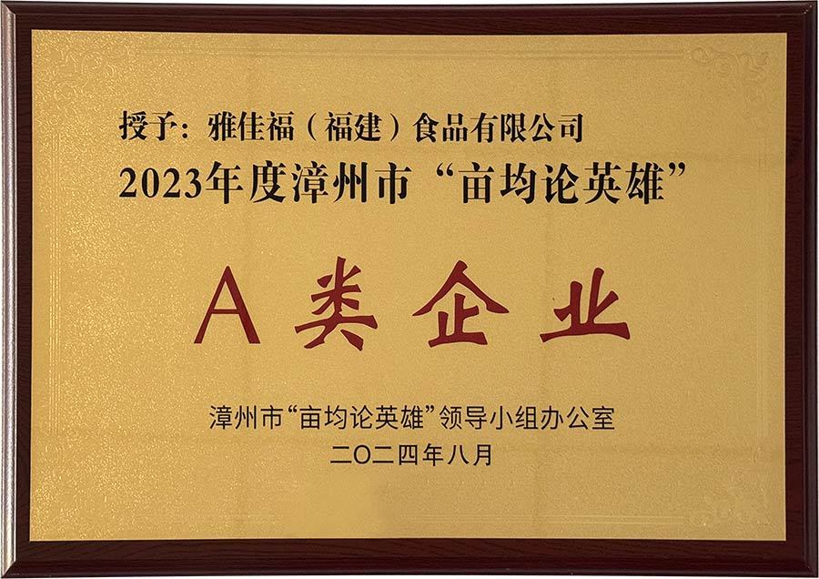 2023年-A类企业
