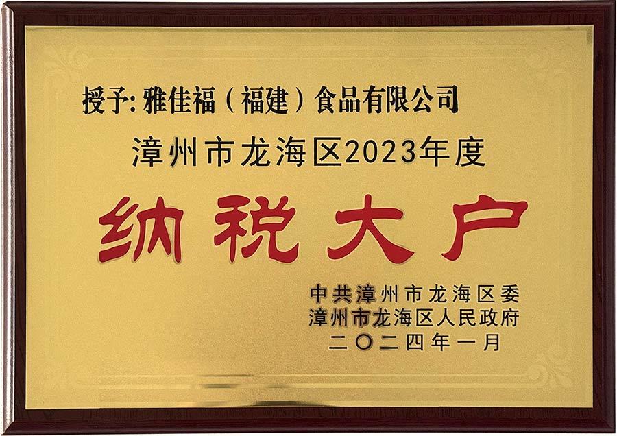 2023年纳税大户
