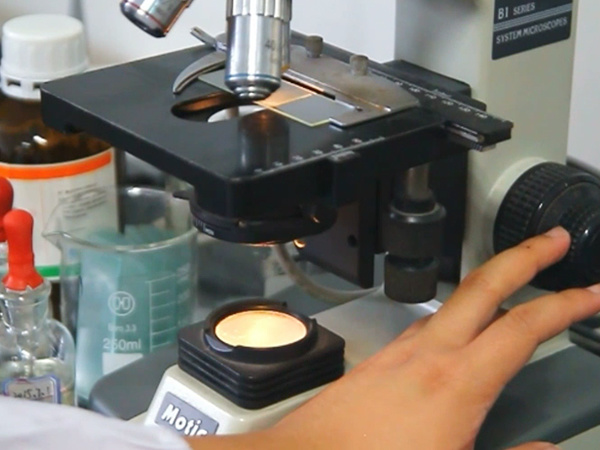 Testing and Analysis Laboratory