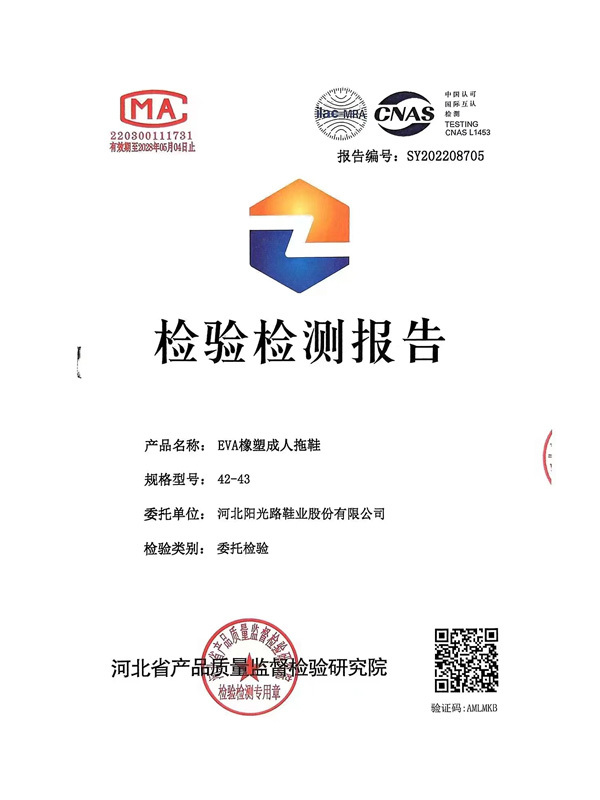 檢驗報告1