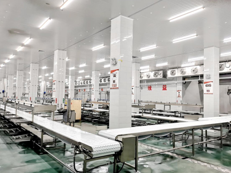河南唐人神食品有限公司100万头生猪屠宰工程机电安装工程 (氨系统)