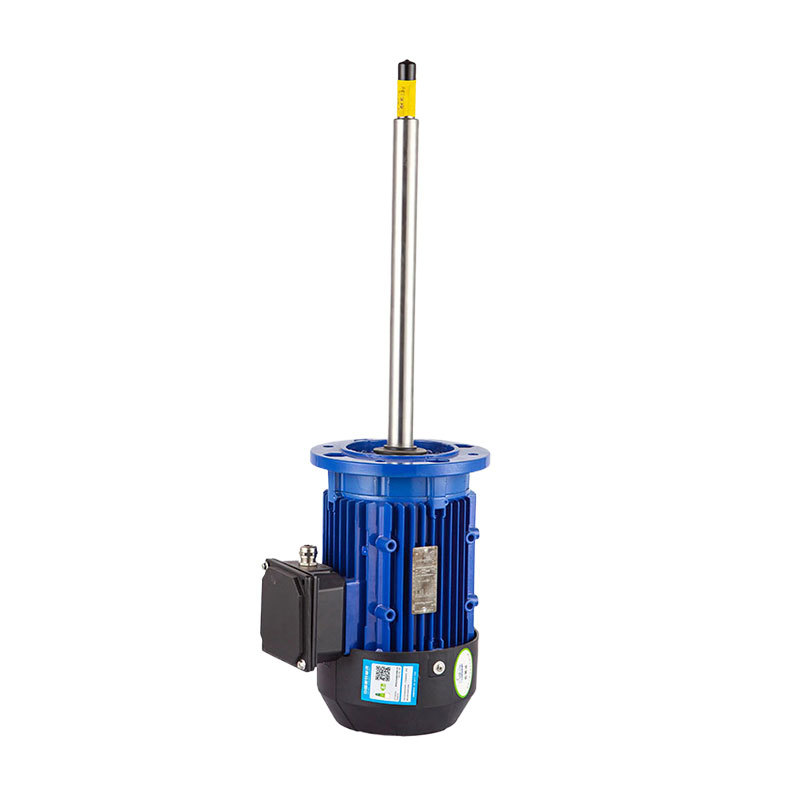 Special motor for chemical pumps Special motor for chemical pumps
