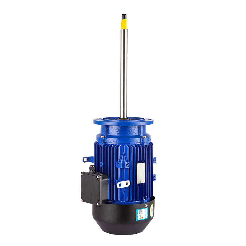 Special motor for chemical pumps Special motor for chemical pumps