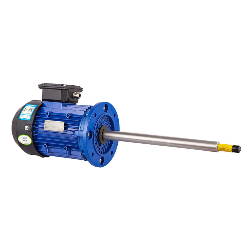 Special motor for chemical pumps Special motor for chemical pumps