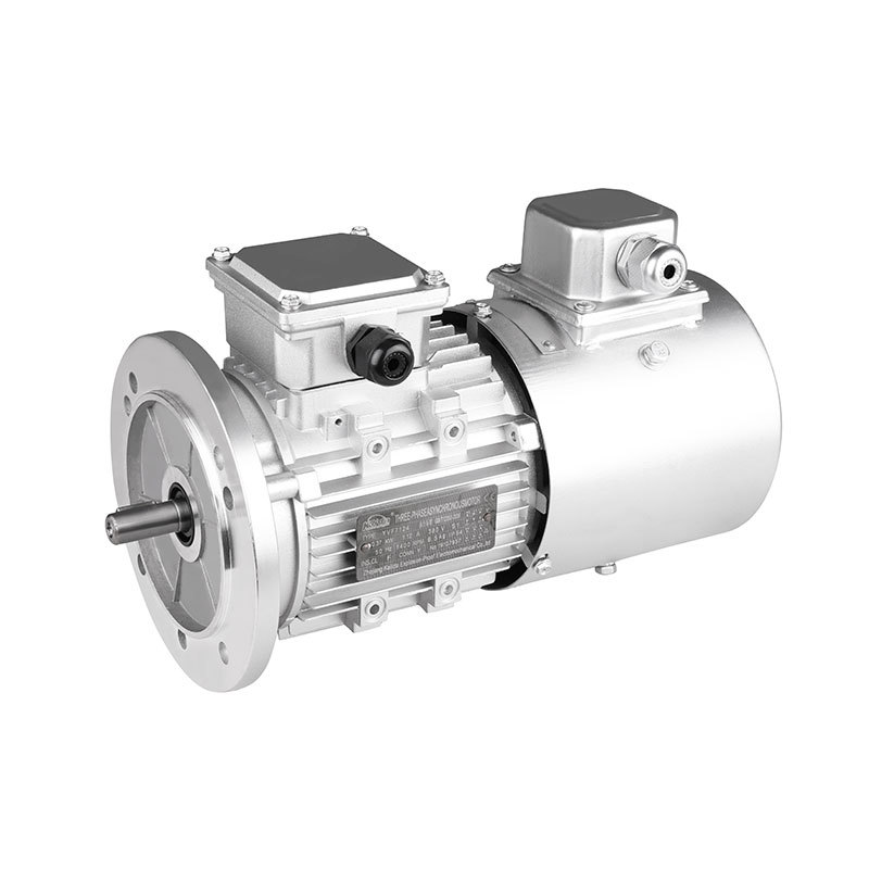 MS Series Aluminum House Motor lEC Standards