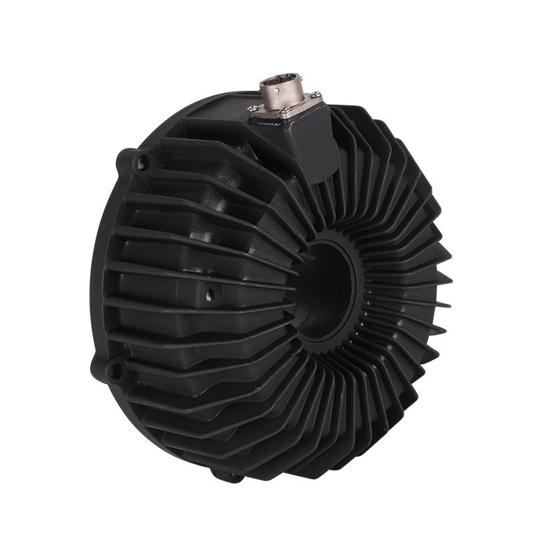 Special Customized Permanent Magnet Motor Special Customized Permanent Magnet Motor