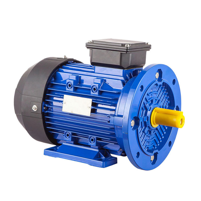 Special motor for chemical pumps Special motor for chemical pumps