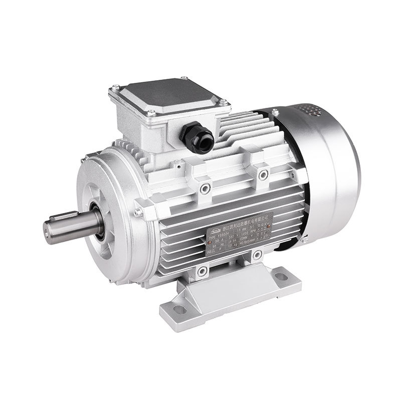 MS Series Aluminum House Motor lEC Standards