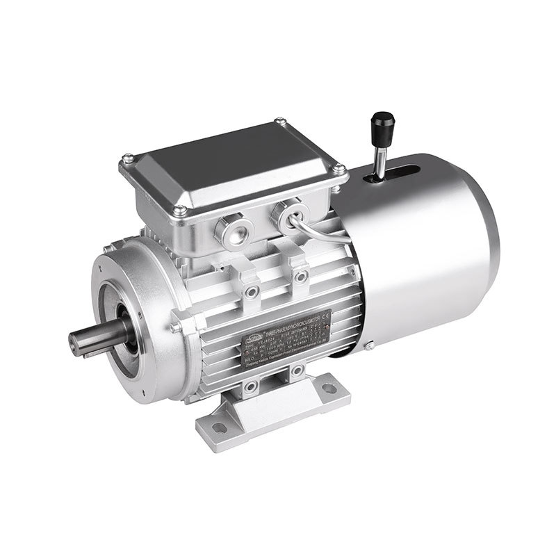 MS Series Aluminum House Motor lEC Standards