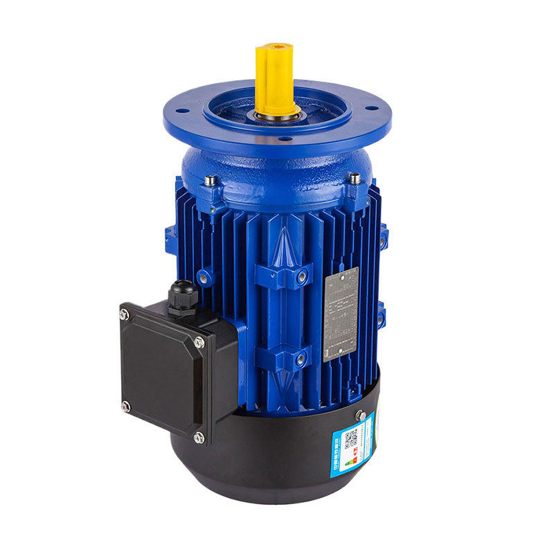 Special motor for chemical pumps Special motor for chemical pumps
