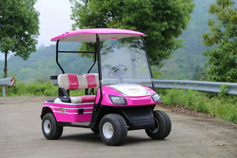 Precautions for driving an electric patrol car