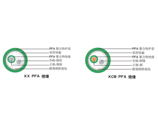 單對絞合PFA絕緣熱電偶電纜