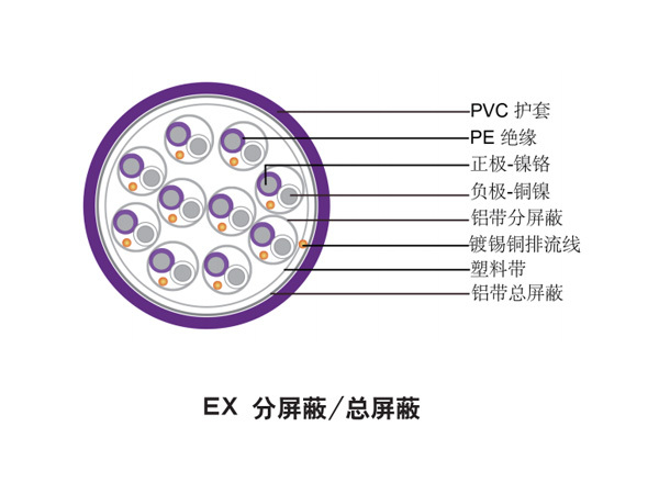 多對(duì)分屏蔽/總屏蔽熱電偶電纜