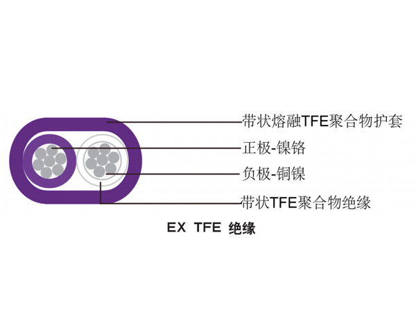 單對扁平TFE絕緣熱電偶電纜