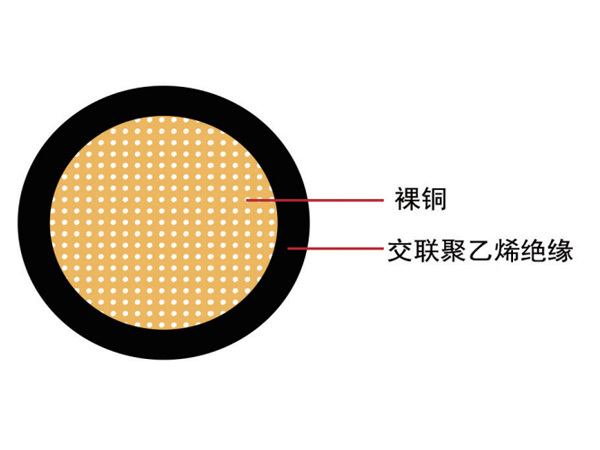 汽車(chē)電線