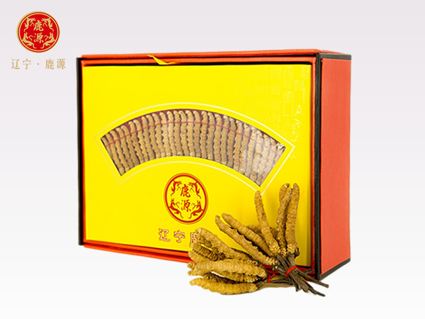 冬蟲夏草  規(guī)格：-9  20克/盒