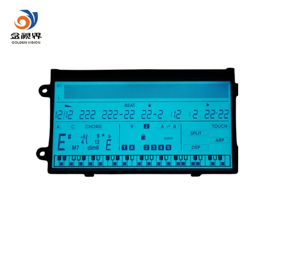 COG FSTN LCD for Digital Pianos
