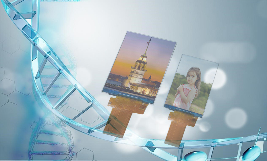 What is LCD module?
