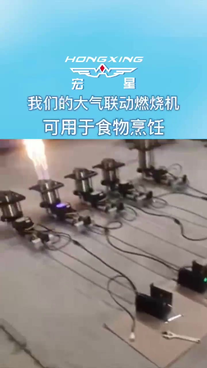 烹饪视频.mp4 烹饪视频.mp4