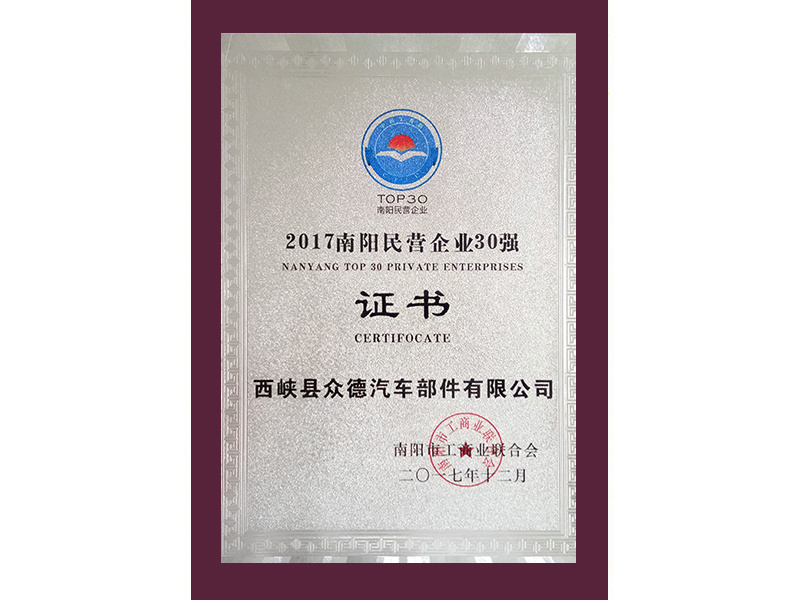 民营企业三十强