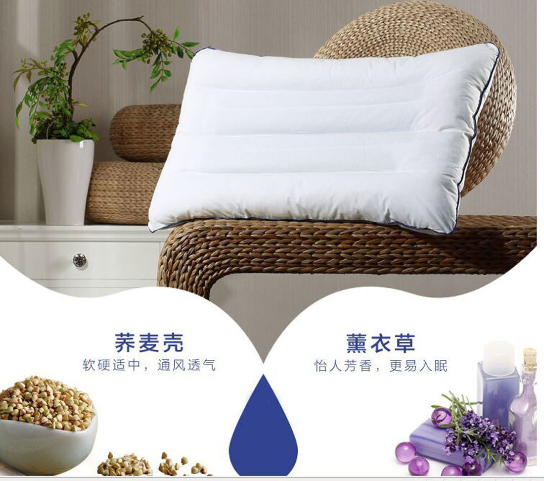 蕎麥枕芯