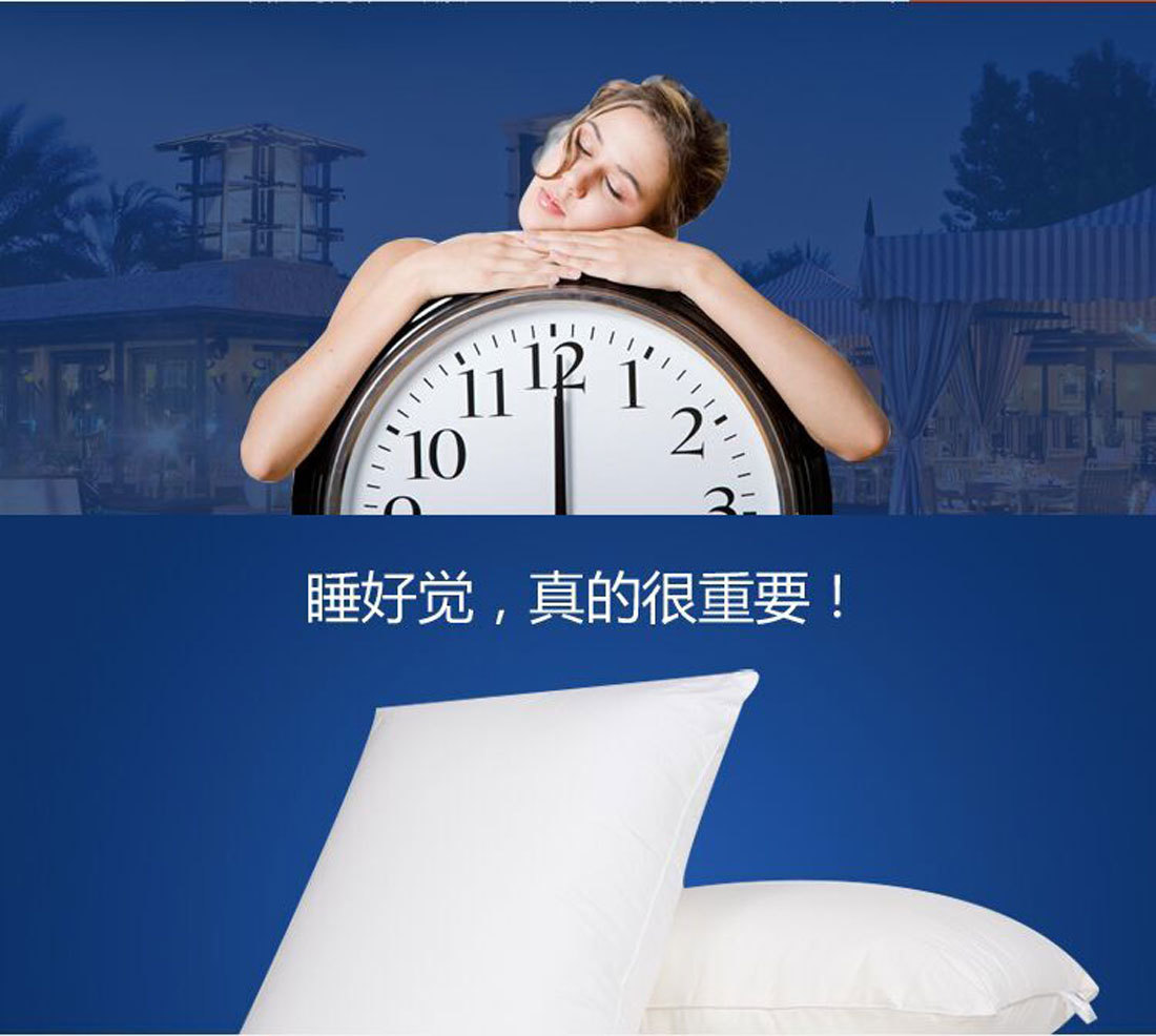 賽羽絨枕芯