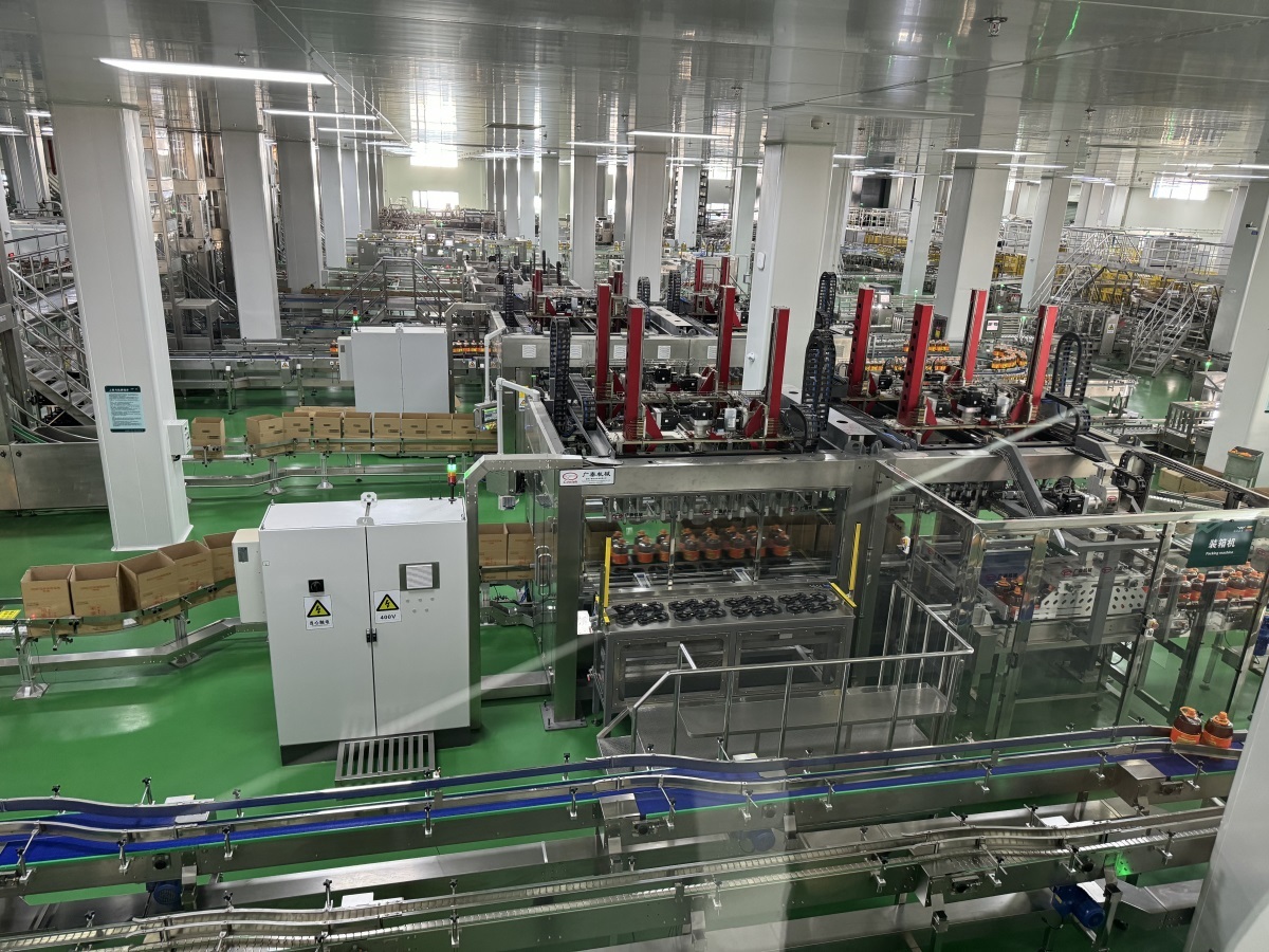 Wilmar Qingdao Project