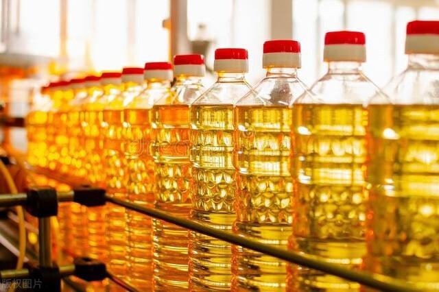 The Golden Liquid: Exploring the Edible Oil Industry