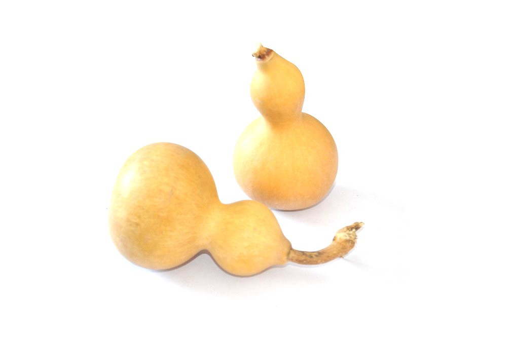 抽葫蘆