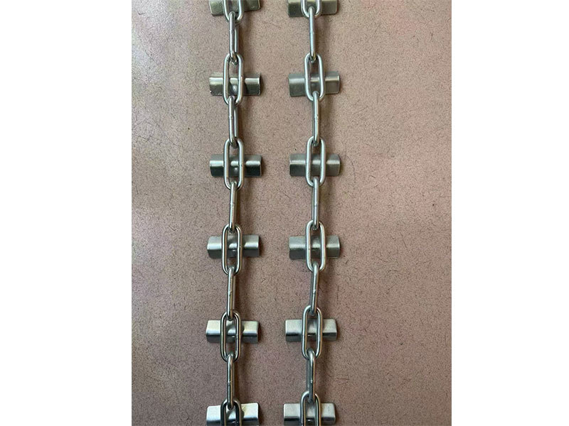 Feed conveying chain